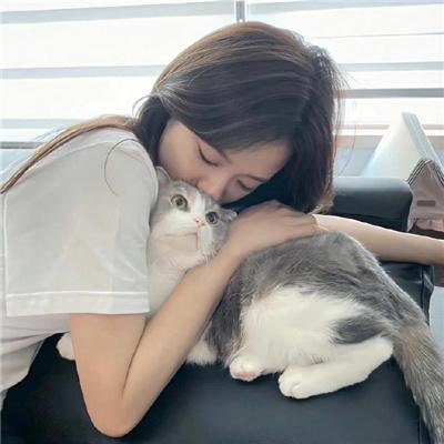 爱情食物链粤语